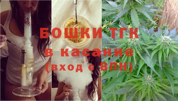 не бодяженный Заводоуковск