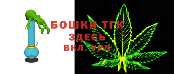 не бодяженный Заводоуковск