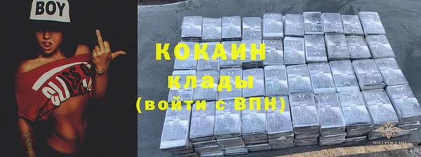 не бодяженный Заводоуковск