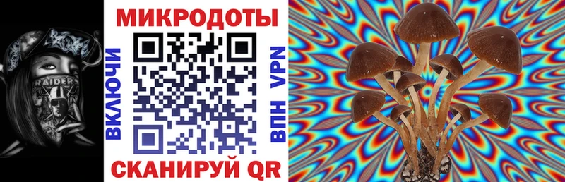 Псилоцибиновые грибы MAGIC MUSHROOMS  Купить  Нолинск 